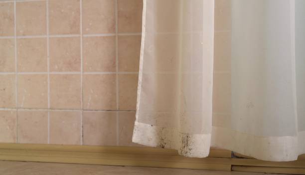 Mold Remediation for Vacation Homes in Spring Lake, NJ